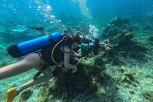 Rosario Islands: Premium Day Pass Isla del Sol Hotel