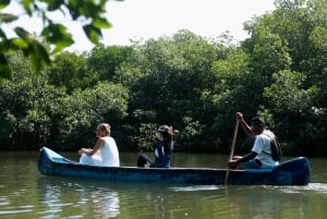 Rosario Islands: Premium Day Pass Isla del Sol Hotel