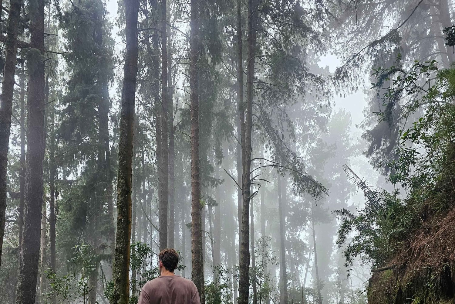 Circuito de observação de colibris