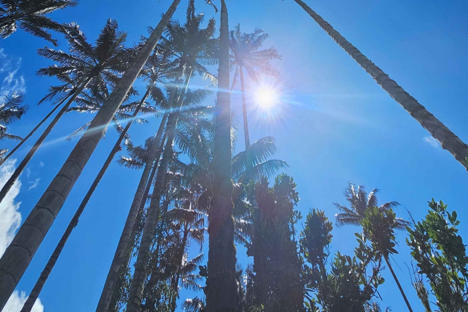 Circuito de observação de colibris