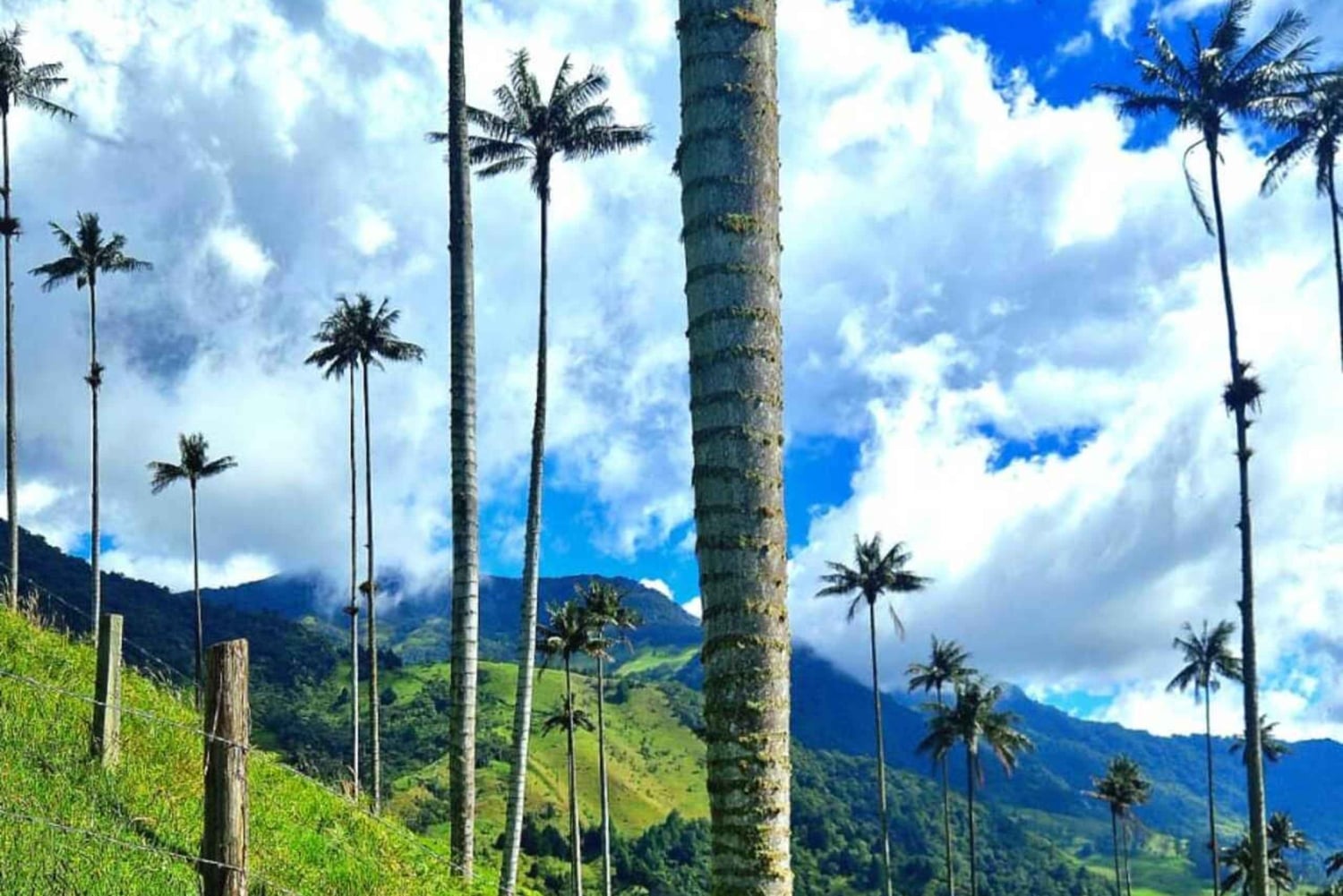 Circuito de observação de colibris