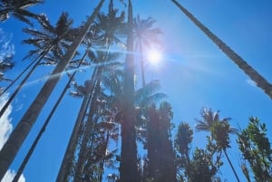 Circuito de observação de colibris
