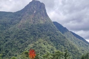 Circuito de observação de colibris