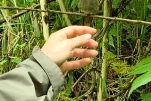 Circuito de observação de colibris