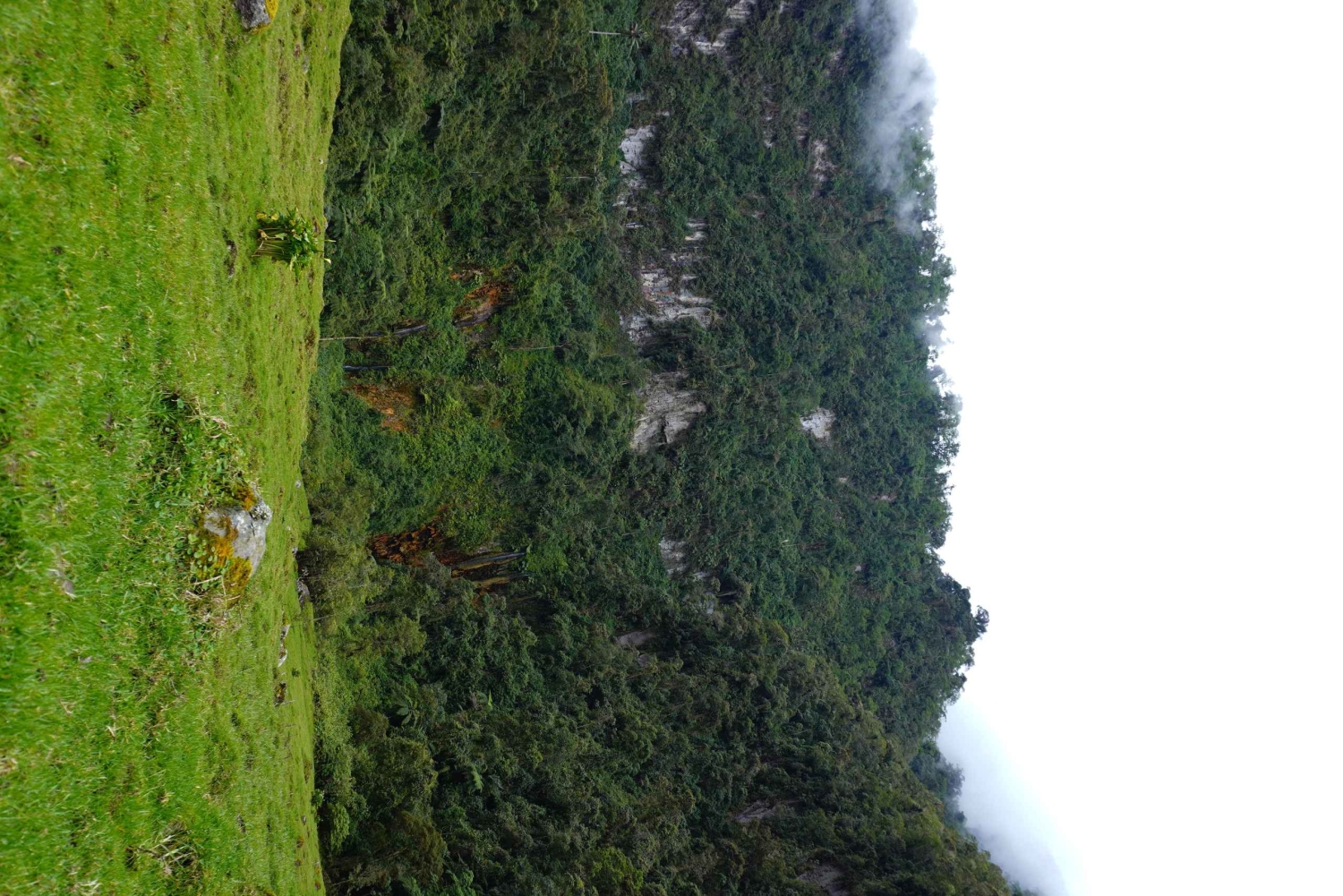 Ibagué: Combeima Canyon Hike, Yoga & Hot Springs Camp