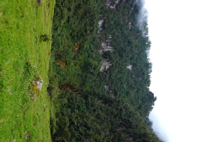 Ibagué: Combeima Canyon Hike, Yoga & Hot Springs Camp