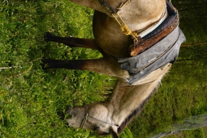 Ibagué: Combeima Canyon Hike, Yoga & Hot Springs Camp