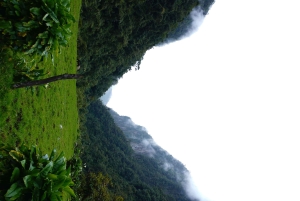 Ibagué: Combeima Canyon Hike, Yoga & Hot Springs Camp