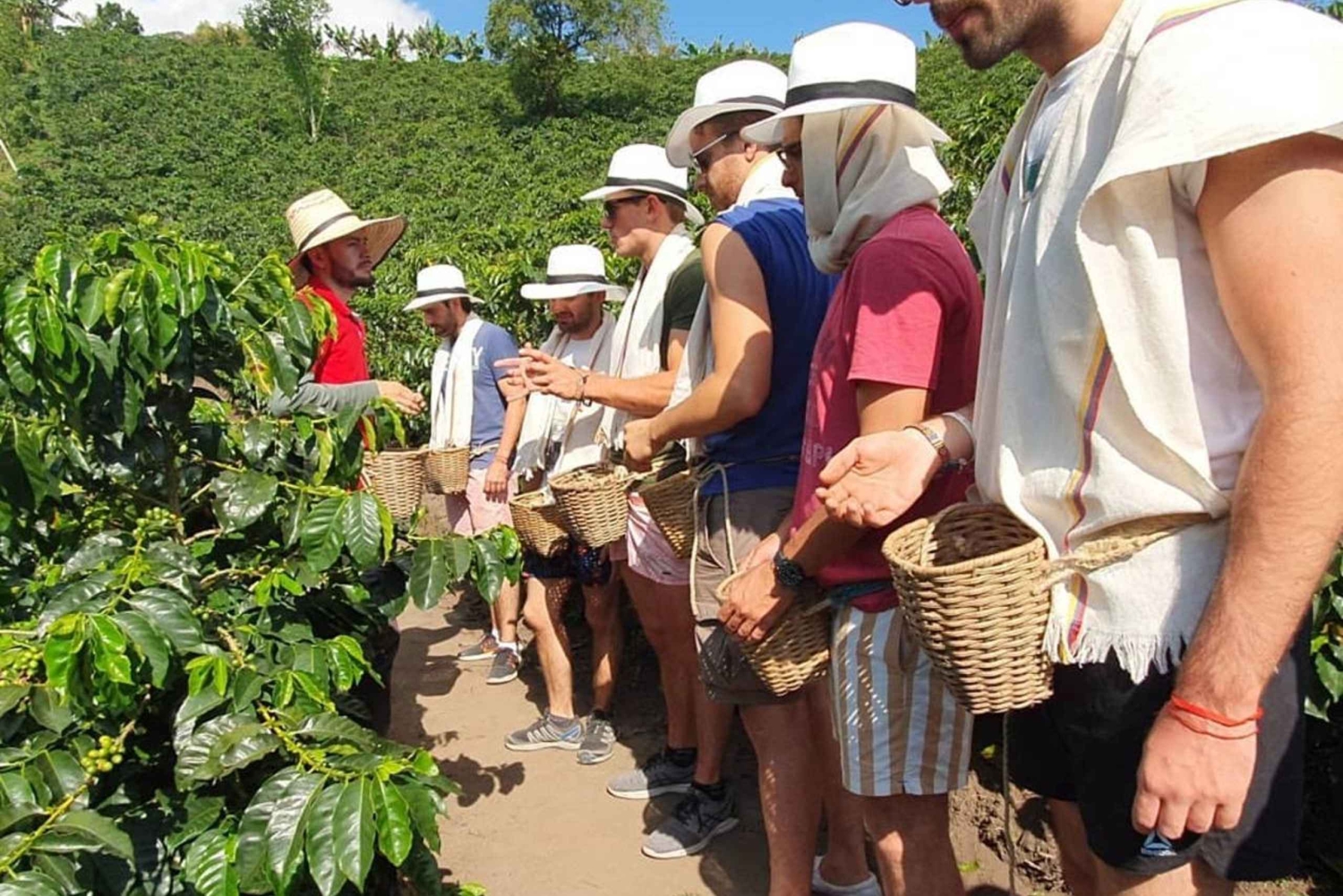 Inspiring landscapes of the Cocora Valley and coffee farms
