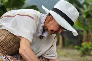 Paisajes que Inspiran Valle de Cocora y Fincas de Café