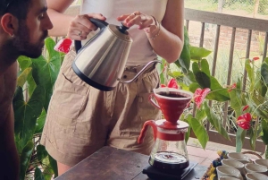 Paisajes que Inspiran Valle de Cocora y Fincas de Café