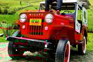 Paisajes que Inspiran Valle de Cocora y Fincas de Café