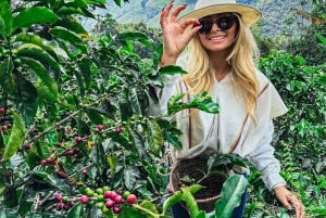 Inspiring landscapes of the Cocora Valley and coffee farms