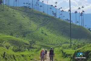 Inspiring landscapes of the Cocora Valley and coffee farms