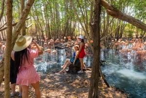 Isla Barú: Beach Club Access and Tour of the National Aviary