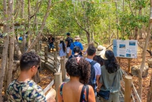 Isla Barú: Beach Club Access and Tour of the National Aviary