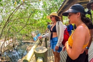 Isla Barú: Acceso al Club de Playa y Visita al Aviario Nacional