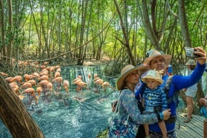 Isla Barú: Beach Club Access and Tour of the National Aviary