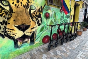 Jaguar Scooter Tour