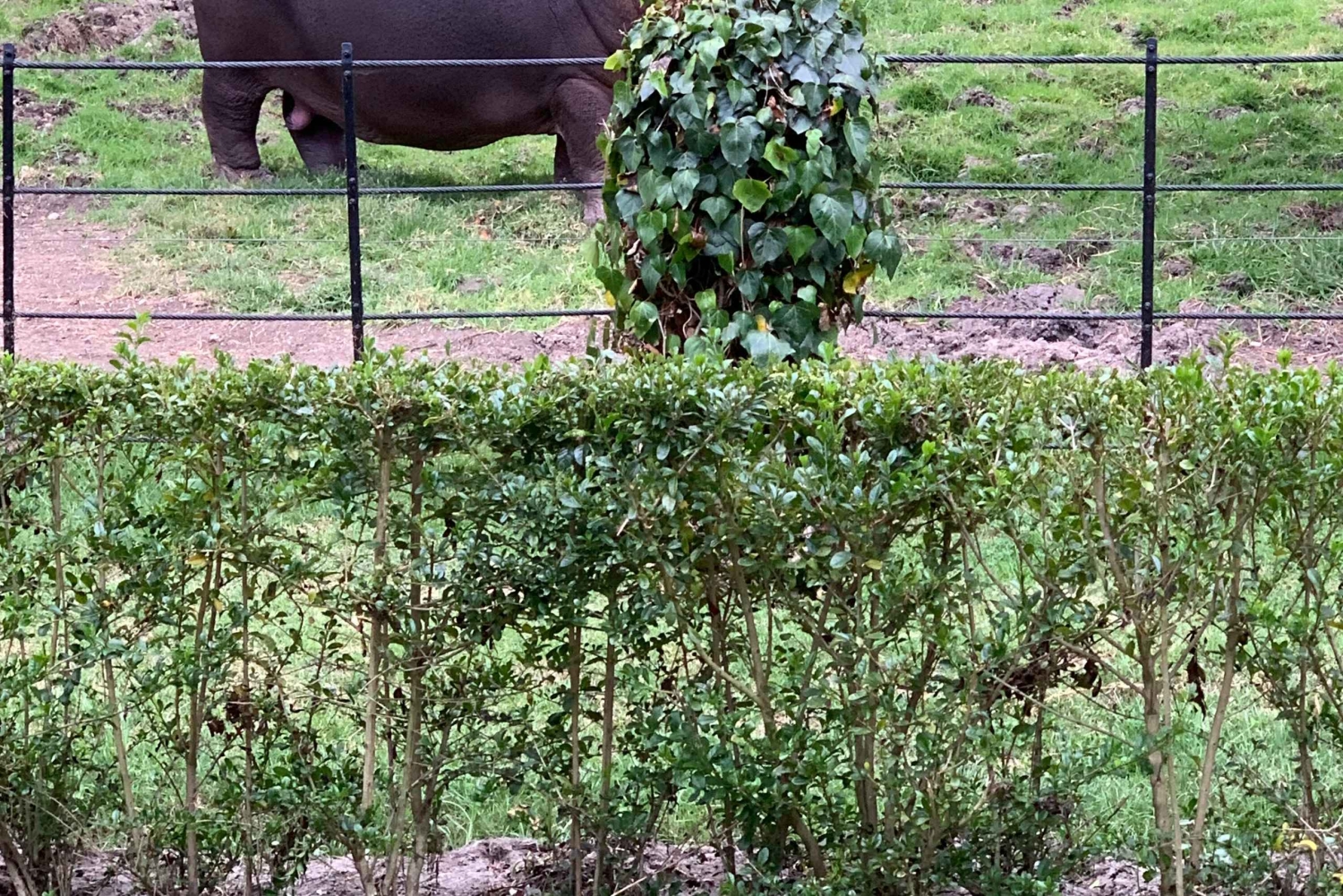 Tutustu Jaime Duque -puistoon ja Zipaquirán suolakatedraaliin