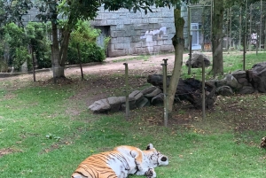 Tutustu Jaime Duque -puistoon ja Zipaquirán suolakatedraaliin