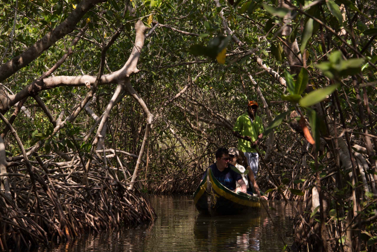 La Boquilla: Excursión de 3 horas en canoa por los Manglars