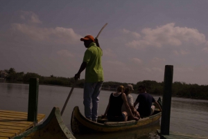 La Boquilla: Excursión de 3 horas en canoa por los Manglars