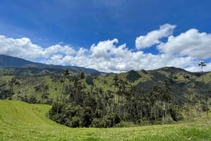 Il tour della Carbonera