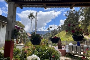Il tour della Carbonera
