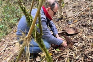 Il tour della Carbonera