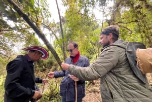 Il tour della Carbonera