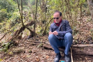 Il tour della Carbonera