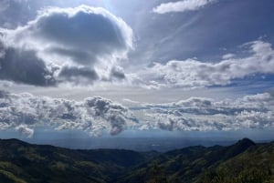 Il tour della Carbonera