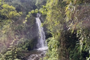 Il tour della Carbonera