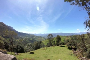 Privat fottur til La Chorrera og Chiflon-fossene