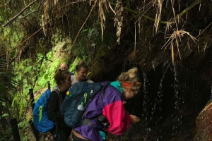 La Chorrera Waterfall Hike