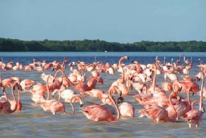 La Guajira: 2-Day Cabo de la Vela and Manaure Tour