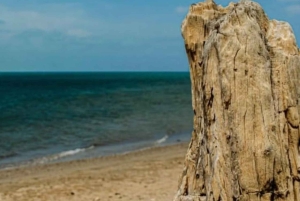 La Guajira: Dagsutflykt till Cabo de la Vela-stränderna