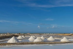 La Guajira: Manaure Salt Flats & Flamingos Day Trip