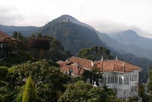 Layover City Tour or Conexion in Bogota