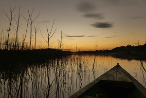 Leticia: 3-Day Birdwatching Tour