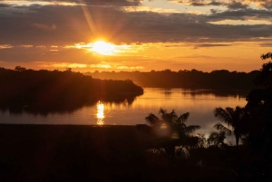 Leticia: 3-Day Birdwatching Tour