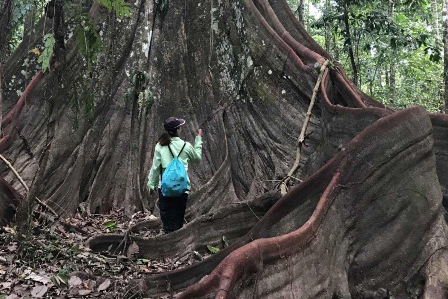 Leticia: Amazing Three Day Jungle Tours