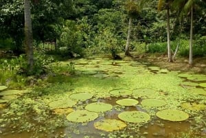 Leticia: Fantastiska tre dagars djungelturer