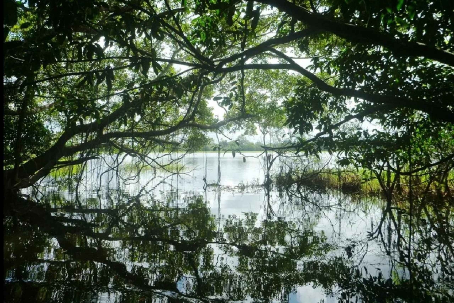 Leticia: tour in canoa sull'Amazzonia con bagno