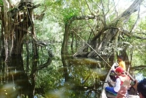 Leticia: Amazonas-Kanutour mit Badeerlebnis