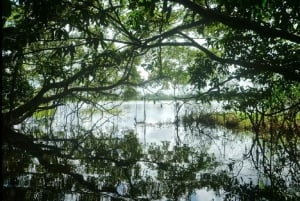 Leticia: Amazonas-Kanutour mit Badeerlebnis