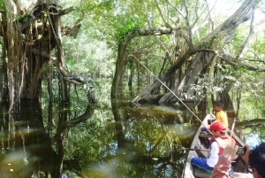 Leticia: tour in canoa sull'Amazzonia con bagno