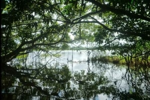 Leticia: tour in canoa sull'Amazzonia con bagno