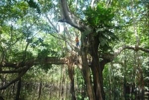 Leticia: tour in canoa sull'Amazzonia con bagno